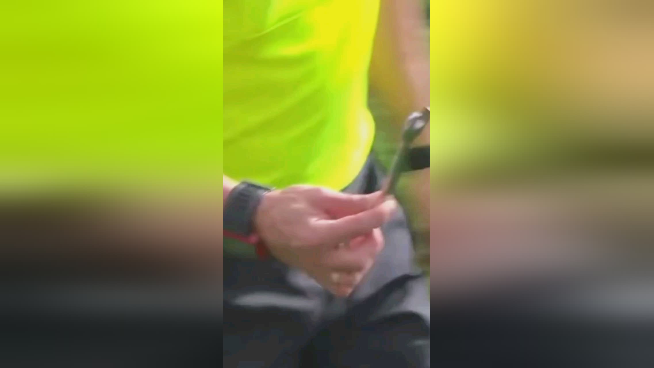 融入巴萨贝